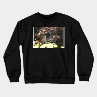 Springtime Crewneck Sweatshirt